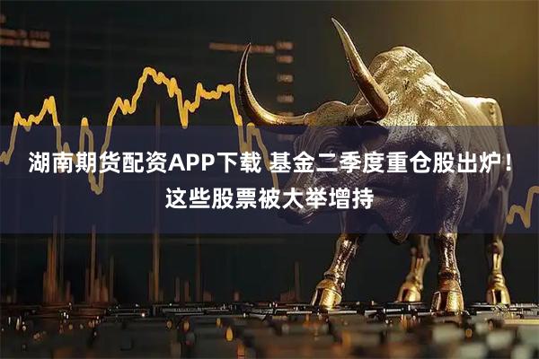 湖南期货配资APP下载 基金二季度重仓股出炉!这些股票被大举增持
