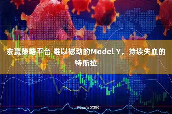宏赢策略平台 难以撼动的Model Y，持续失血的特斯拉